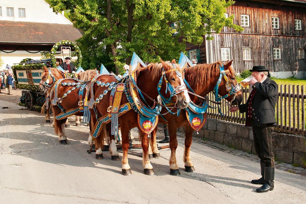Ferienwohnung Cornelia Bad Birnbach Buitenkant foto